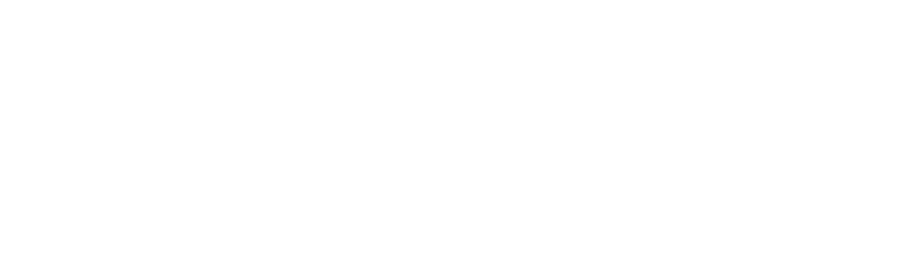 Auctus-Metal-Logo